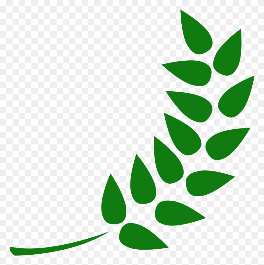 1567x1577 Transparent Icon Free And Logo Gandum, Green, Plant, Leaf HD PNG Download