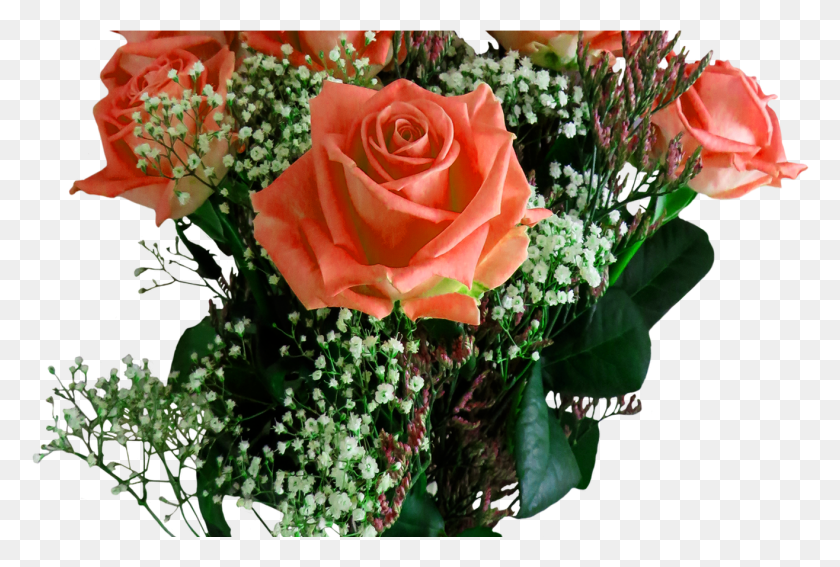 1316x856 Розовые Розы, Букет Роз, Цветы, Цветы Png Скачать Бесплатно