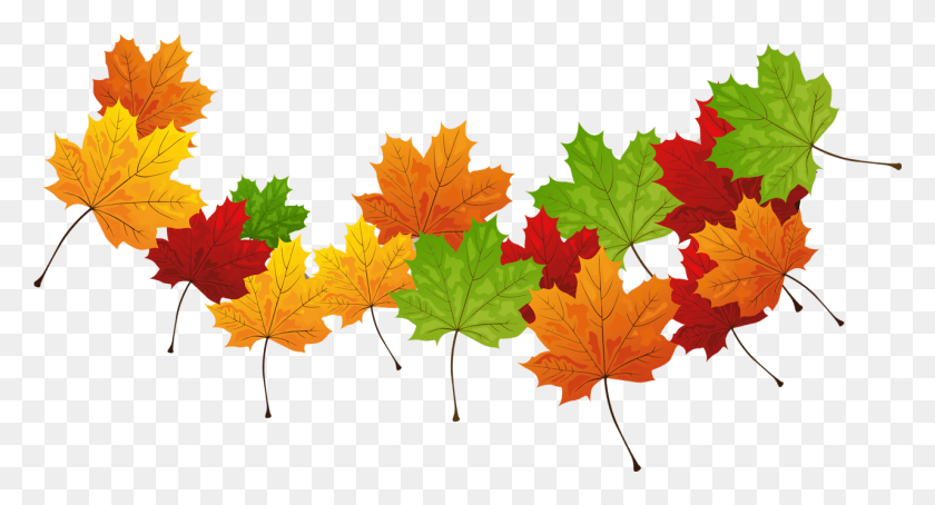 1281x648 Transparent Leaves Gallery Yopriceville Maple Leaf, Leaf, Plant, Tree HD PNG Download