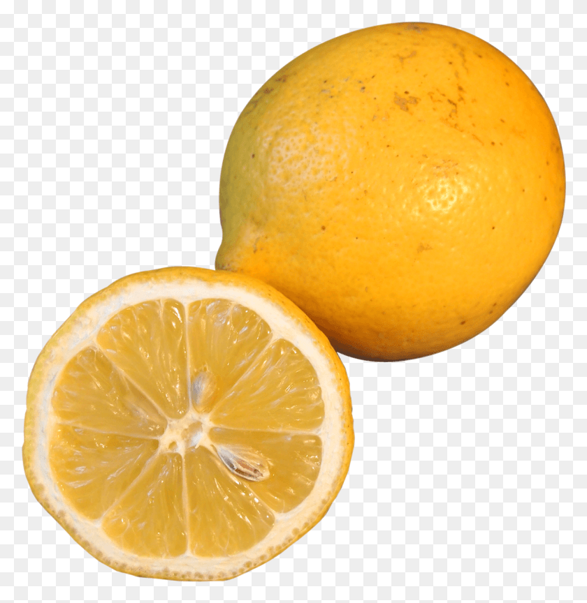 1153x1189 Transparent Lemon Slice Lemon, Citrus Fruit, Fruit, Plant HD PNG Download