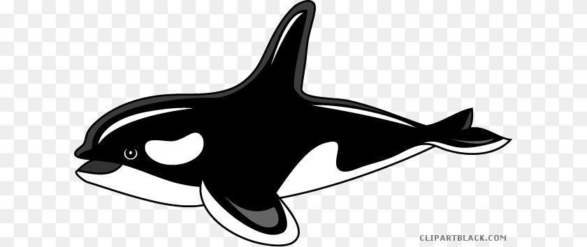 628x354 Library Clipartblack Com Animal Black Killer Whale Sea Life, Fish, Shark, Mammal Clipart PNG