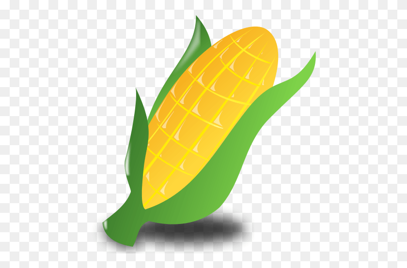 464x494 Transparent Library Kwanzaa Clipart Mantle Corn Clipart In, Plant, Vegetable, Food HD PNG Download
