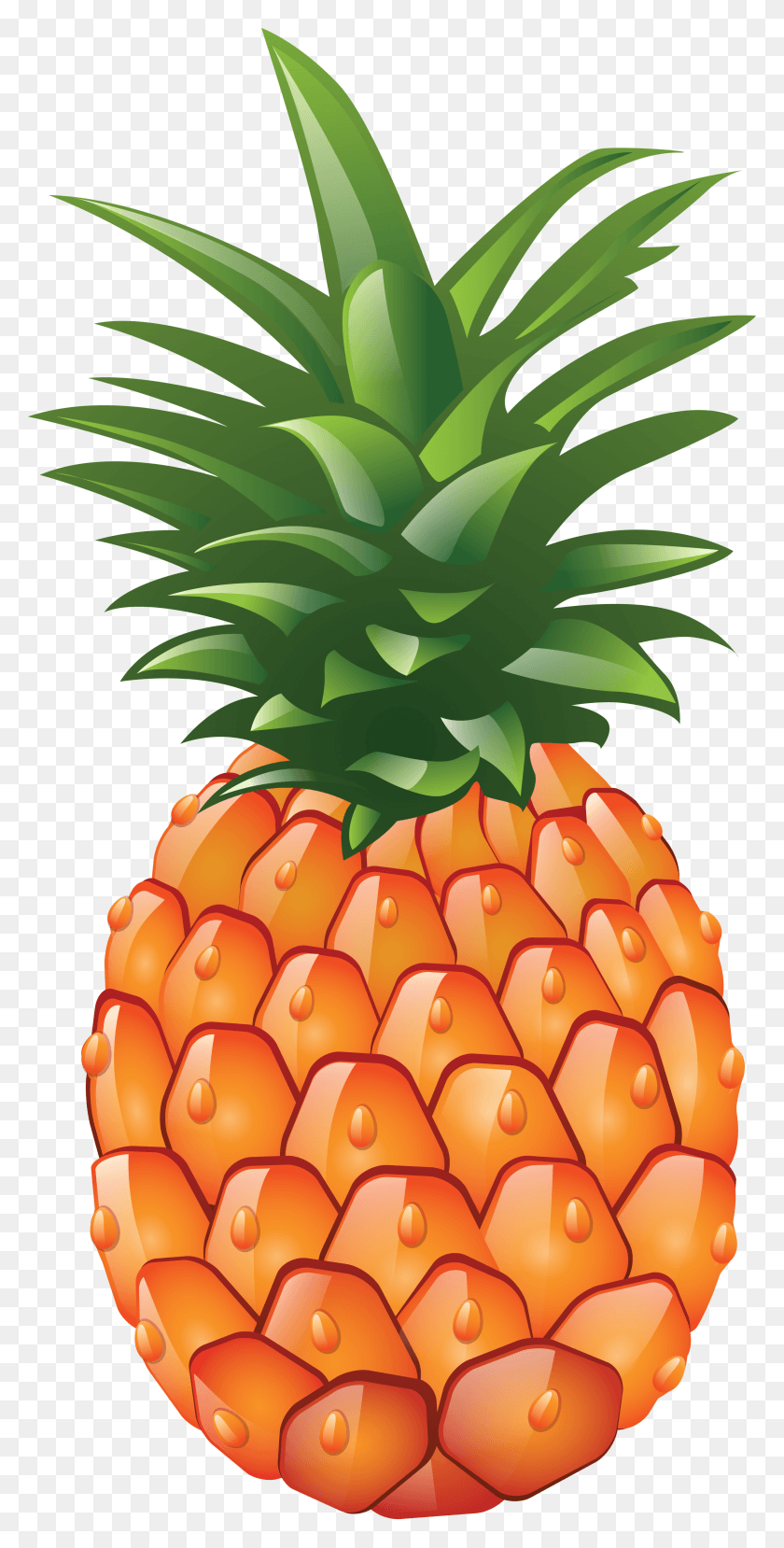 2661x5455 Transparent Library Pineapple Images Free Pictures Pineapple Clipart, Plant, Fruit, Food HD PNG Download