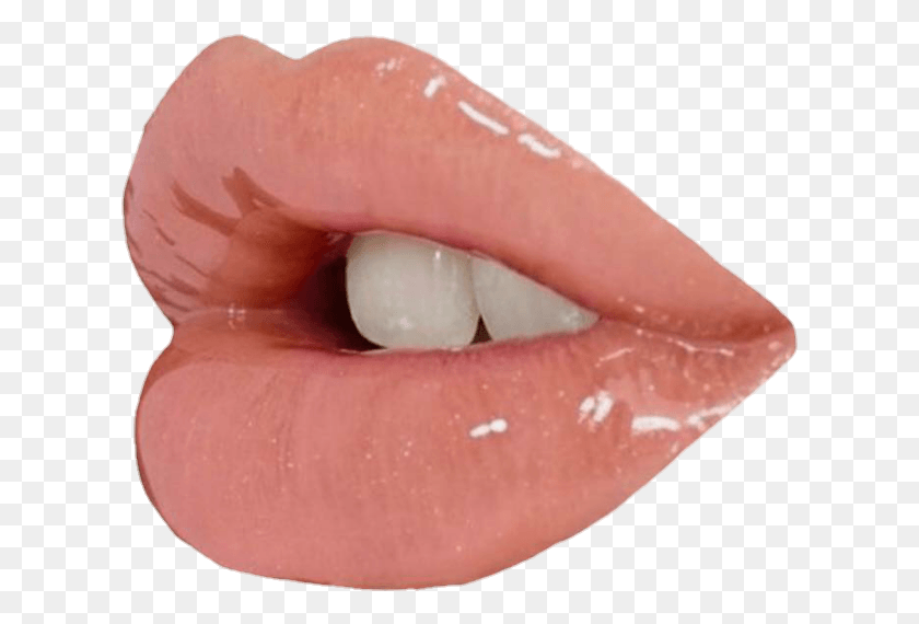 619x510 Transparent Lip Transparent Lip Lips Glossy Lips Aesthetic, Teeth, Mouth, Person HD PNG Download