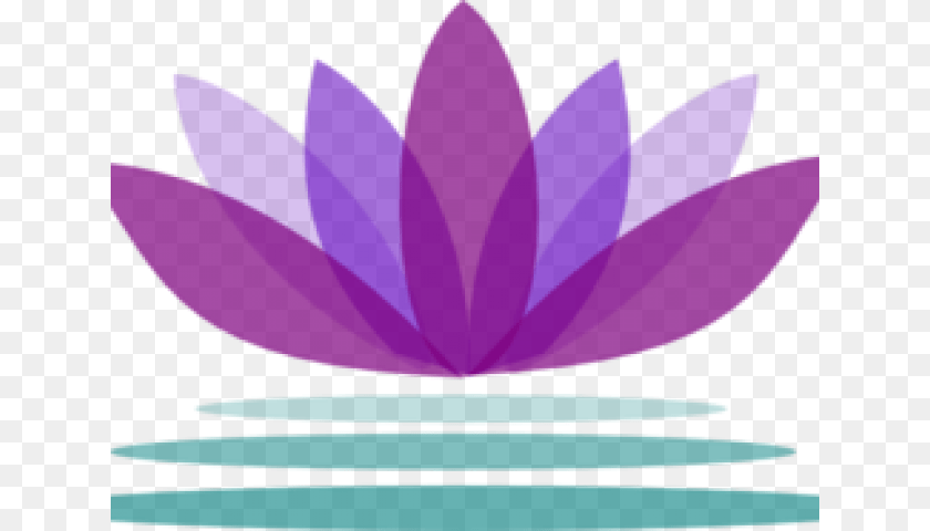 640x480 Transparent Lotus Clipart Lotus Flower Logo, Plant, Lily, Pond Lily, Shark Sticker PNG