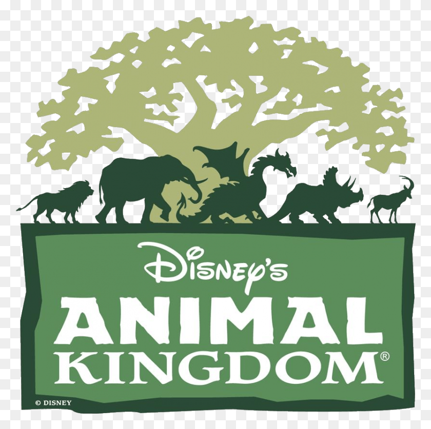 833x830 Transparent Maleficent Dragon Disney Animal Kingdom Sign, Plant, Vegetation, Rainforest HD PNG Download
