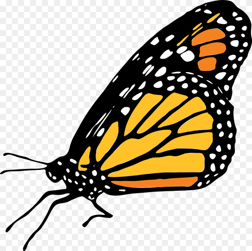 1280x1276 Transparent Mariposas Vector Mariposa Monarca Dibujo, Animal, Butterfly, Insect, Invertebrate Clipart PNG