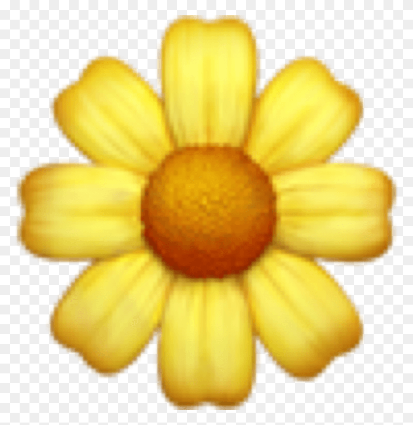 1866x1928 Descargar Png Transparente Emojis Flor Emoji Iphone, Planta, Flor, Margarita Hd Png