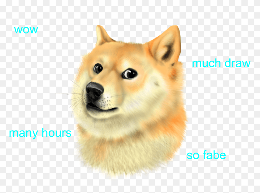 1924x1393 Transparent Mlg Doge Doge Much Wow Transparent, Canine, Mammal, Animal HD PNG Download