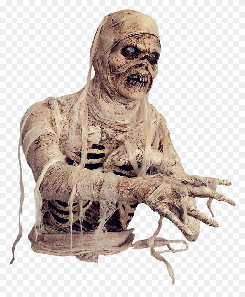 972x1194 Transparent Mummy, Person, Human, Figurine HD PNG Download