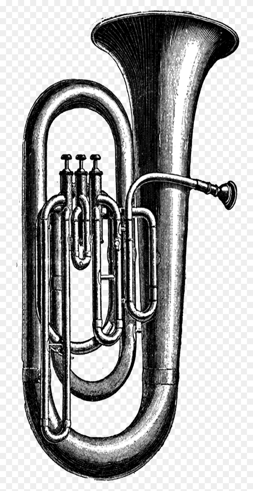 756x1566 Transparent Music Instruments Clipart Tuba Clip Art, Horn, Brass Section, Musical Instrument HD PNG Download
