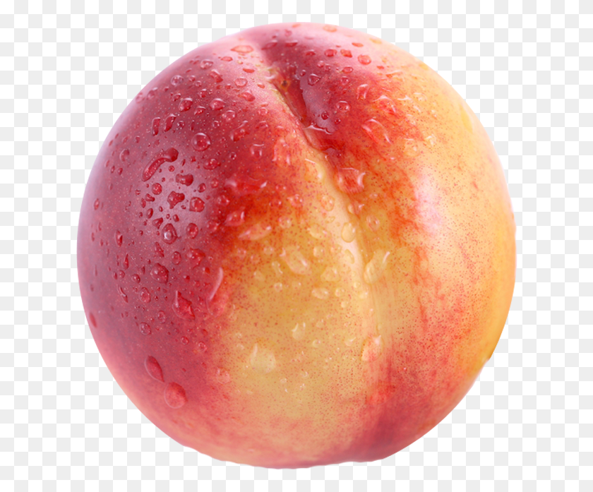 626x637 Transparent Nectarine Picture Nectarine Clipart, Apple, Fruit, Plant HD PNG Download