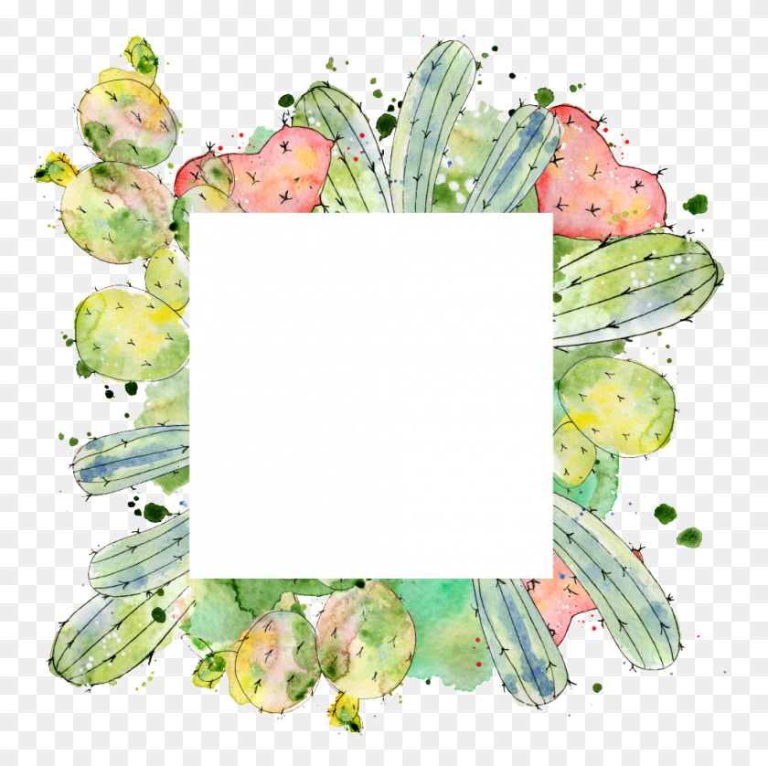 980x978 Transparent Of Square Cactus Border Floral Design, Collage, Poster, Advertisement HD PNG Download