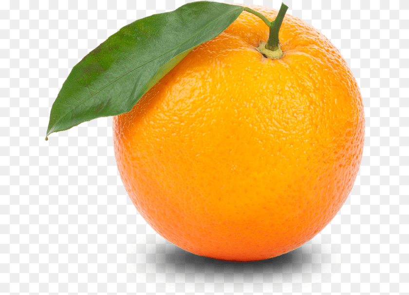 Transparent Orange, Citrus Fruit, Food, Fruit, Plant Sticker PNG