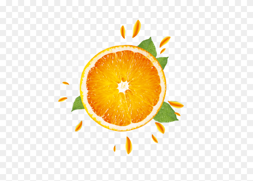 577x543 Transparent Orange Clementine, Citrus Fruit, Fruit, Plant HD PNG Download