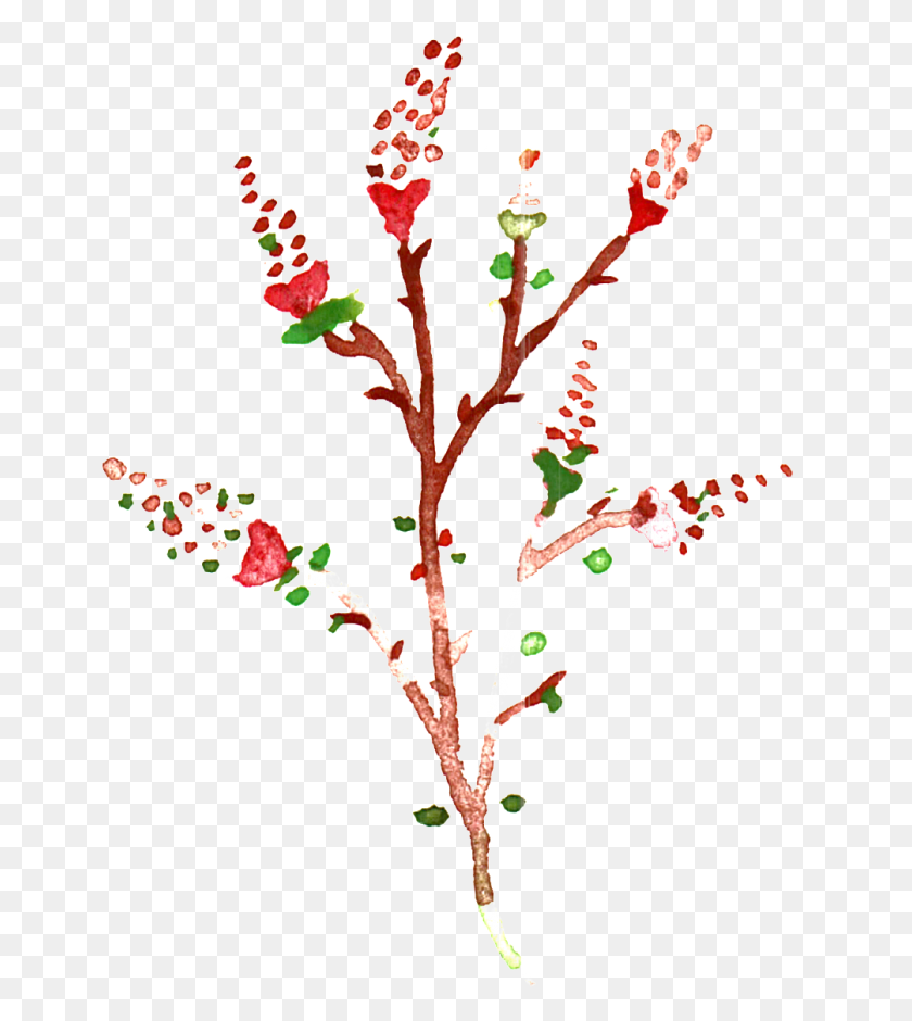1005x1135 Transparent Ornamental For Christmas Branches And Leaves Twig, Plant, Flower, Blossom HD PNG Download