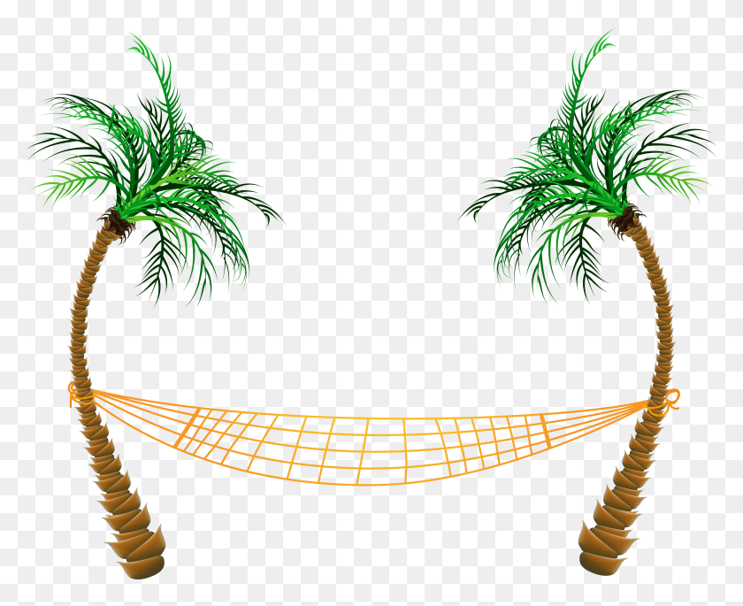 6239x5003 Transparent Palm Beach Hammock Clipart Hawaiian Palm Tree Clip Art HD PNG Download