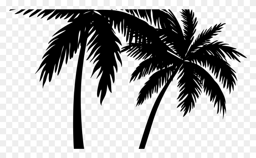 1307x769 Transparent Palm Tree Clipart, Gray, World Of Warcraft HD PNG Download