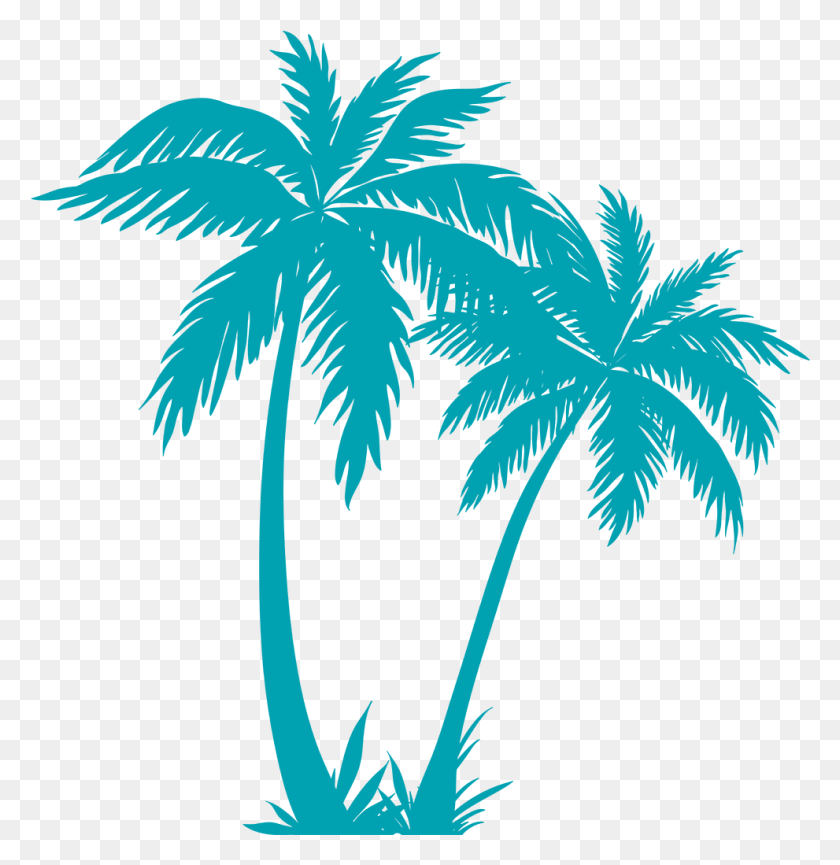 991x1023 Transparent Palm Tree Plan Palm Tree Vector, Plant, Bird, Animal HD PNG Download