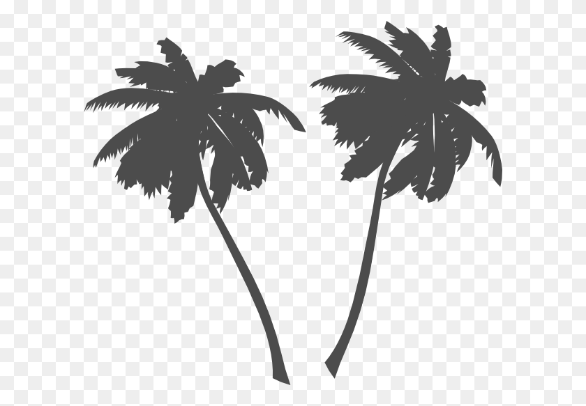 600x523 Transparent Palm Tree Vector, Tree, Plant, Arecaceae HD PNG Download
