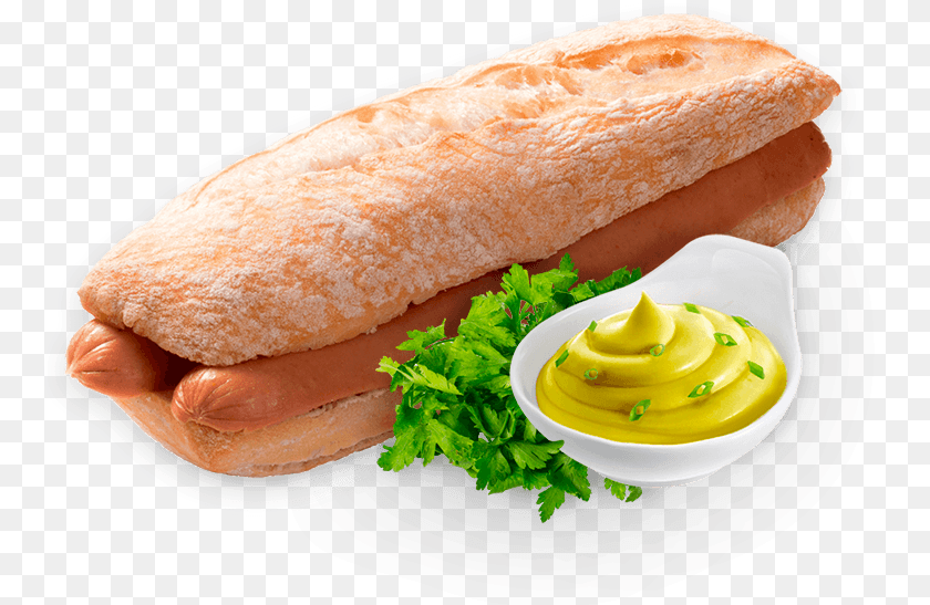 Panini Panini Hot Dog, Food, Sandwich Transparent PNG