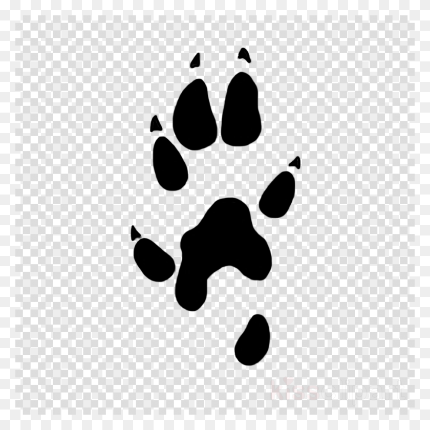 900x900 Transparent Paw Prints Person With Transparent Background, Label, Text, Bird HD PNG Download