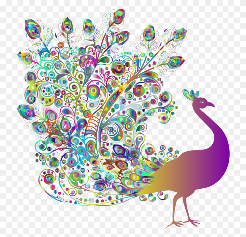 728x750 Transparent Peacock Peafowl, Graphics, Doodle HD PNG Download