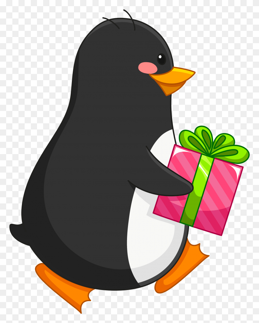 2893x3668 Transparent Penguin With Gift Transparent Background Gift Clipart, Animal, Bird HD PNG Download
