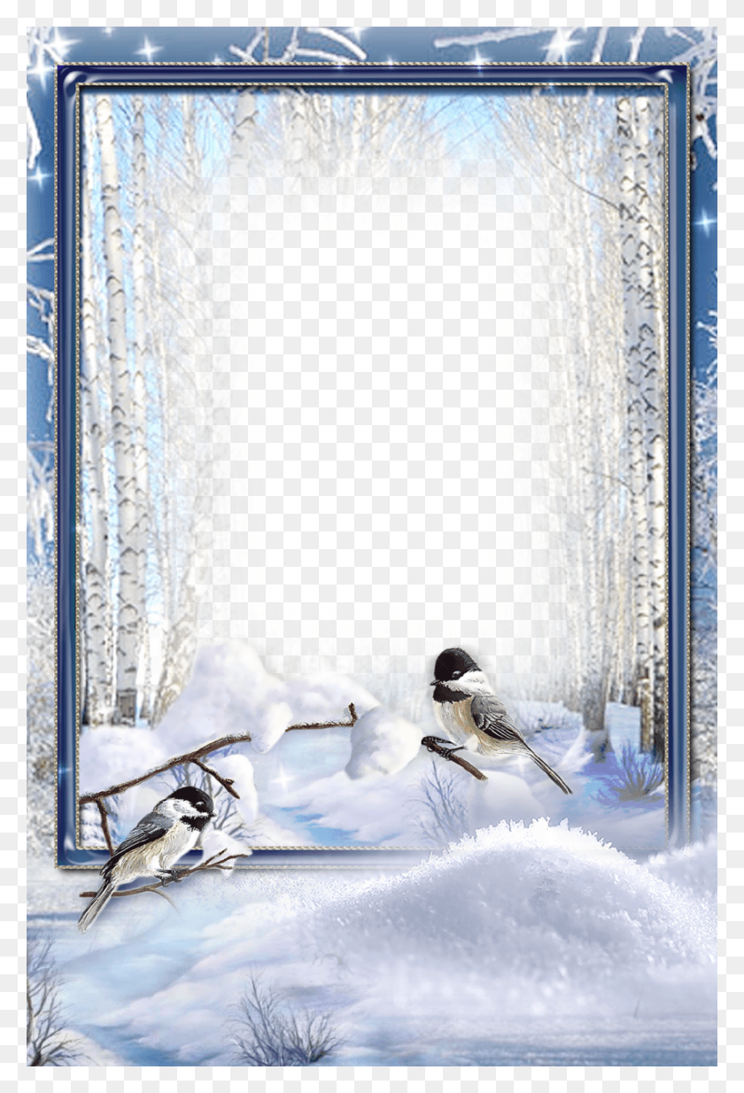 850x1280 Transparent Photo Frame Winter, Bird, Animal, Nature HD PNG Download
