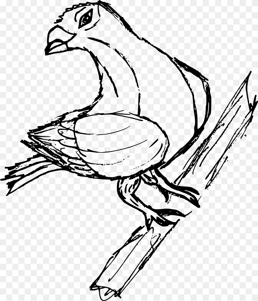 Transparent Pigeon Sketch, Gray Sticker PNG