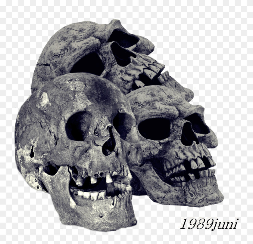 748x751 Cráneo Png / Pila De Huesos Transparente Png