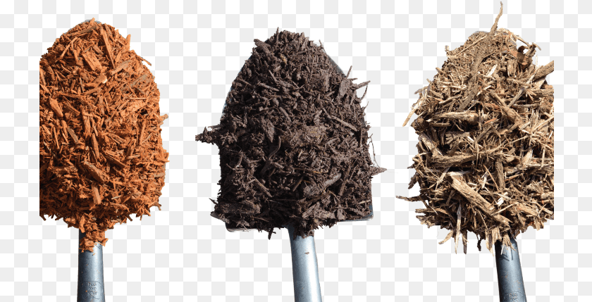 731x429 Pile Of Dirt Tree, Tobacco, Plant, Root Transparent PNG