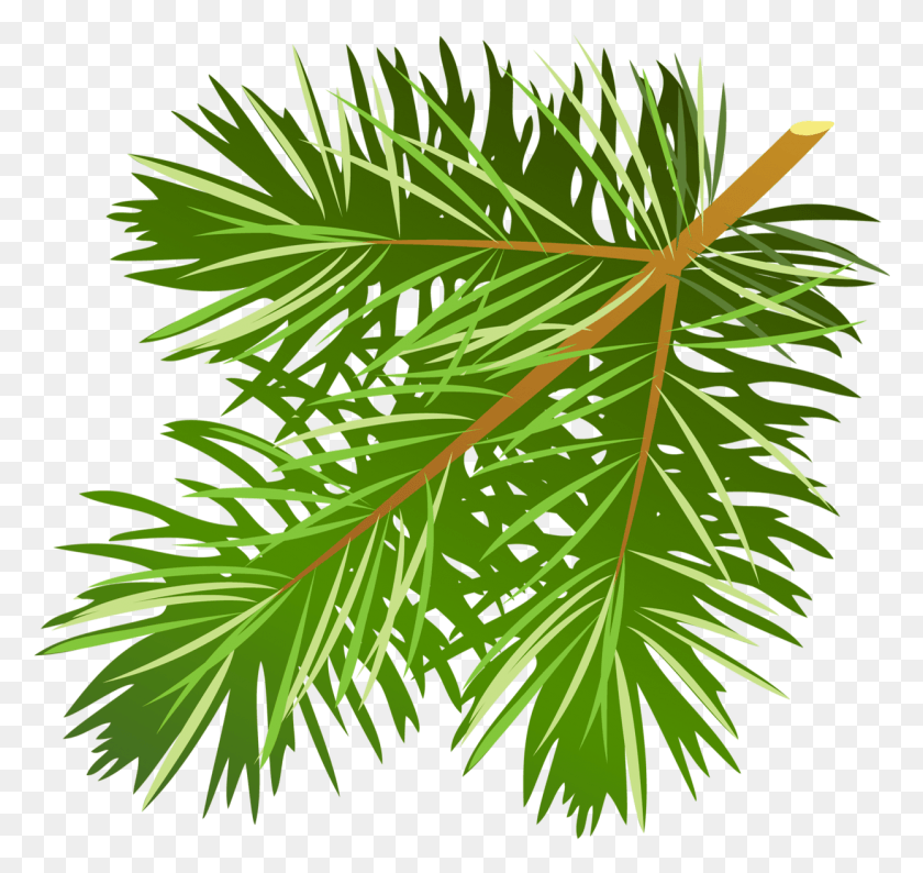 1244x1171 Transparent Pine Branch Clipart Pine Tree Branch Clip Art, Leaf, Plant, Tree HD PNG Download