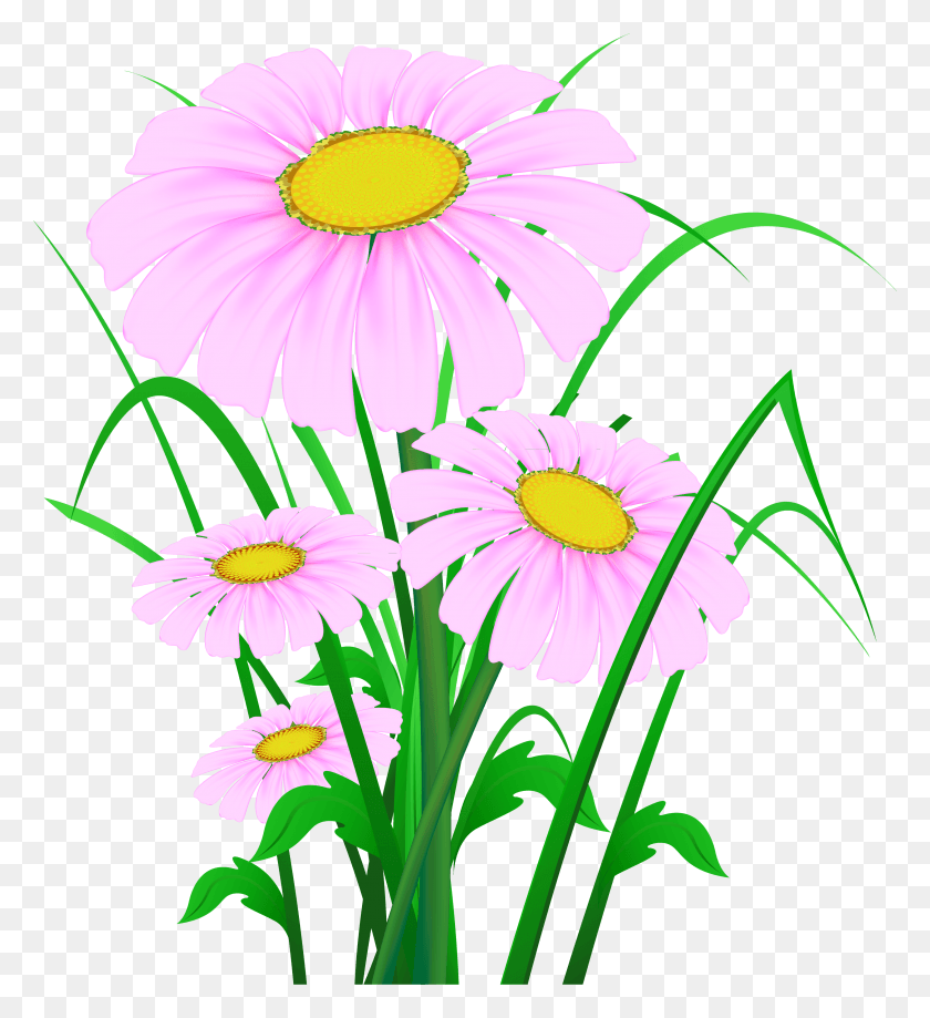 3296x3632 Transparent Pink Daisies Clipart Gracias Dios Por Este Dia, Plant, Daisy, Flower HD PNG Download