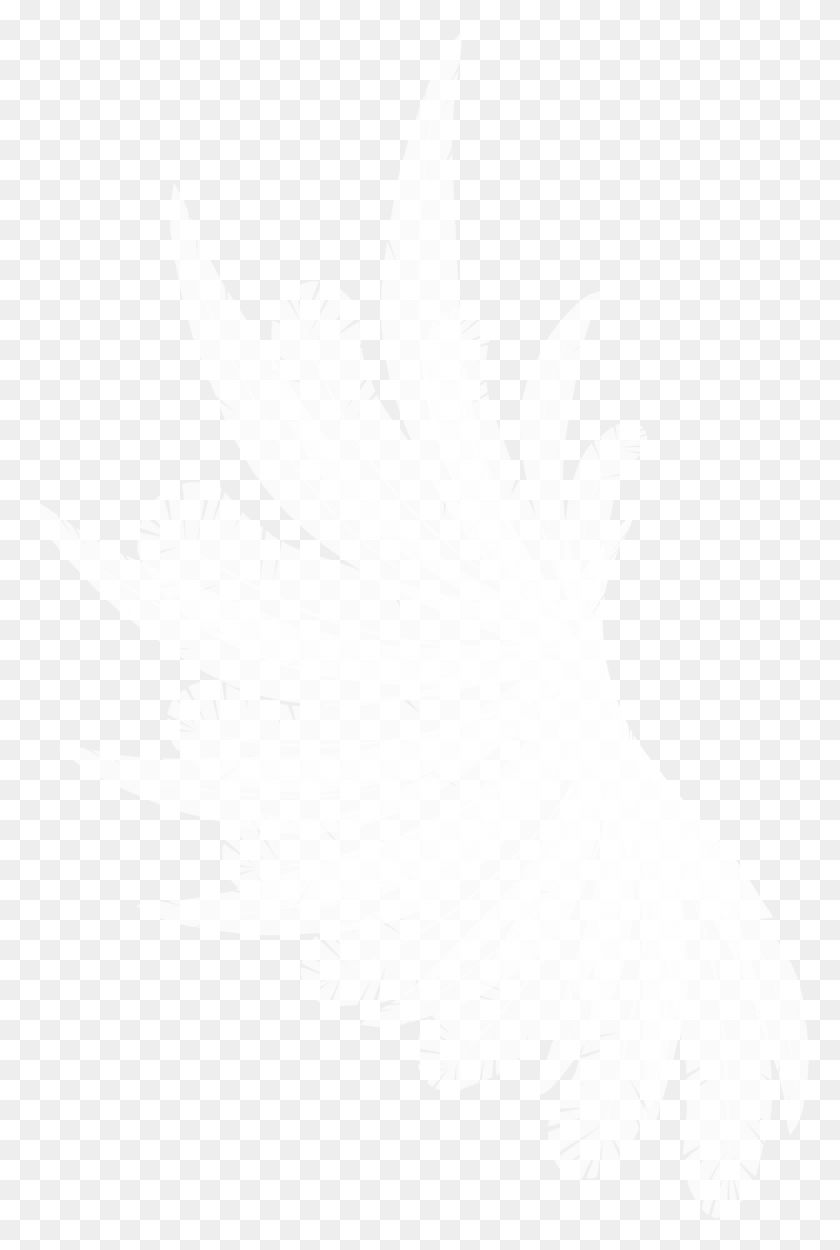 1991x3038 Прозрачный Пиксель Прозрачный Фон Закрыть Значок Белый, Лист, Растение, Свет Hd Png Скачать