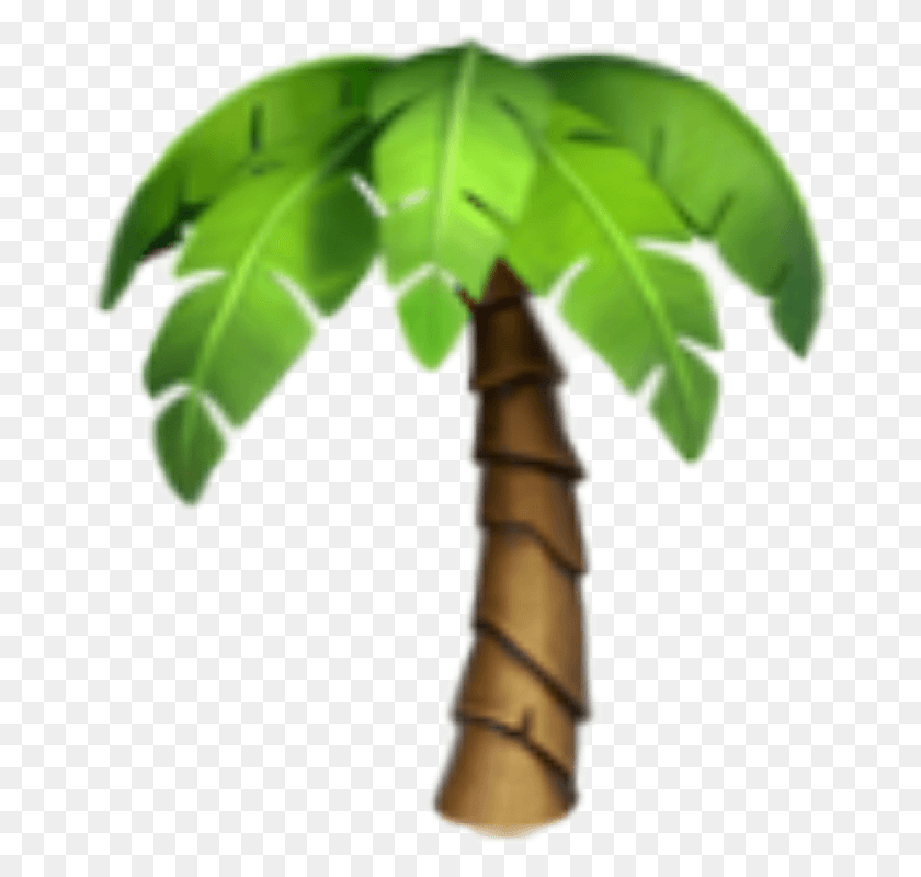 677x740 Transparent Plant Emoji Iphone Palm Tree Emoji, Leaf, Tree, Arecaceae HD PNG Download