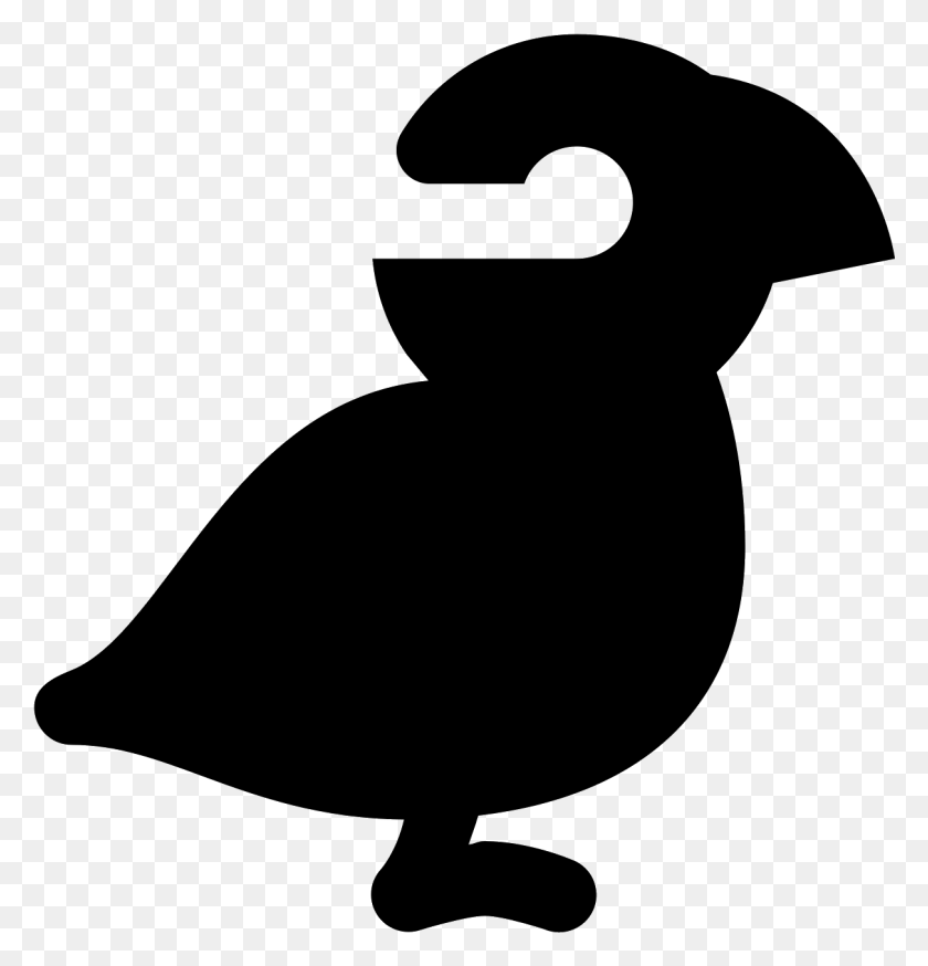 1212x1266 Transparent Puffin Seabird, Gray, World Of Warcraft HD PNG Download