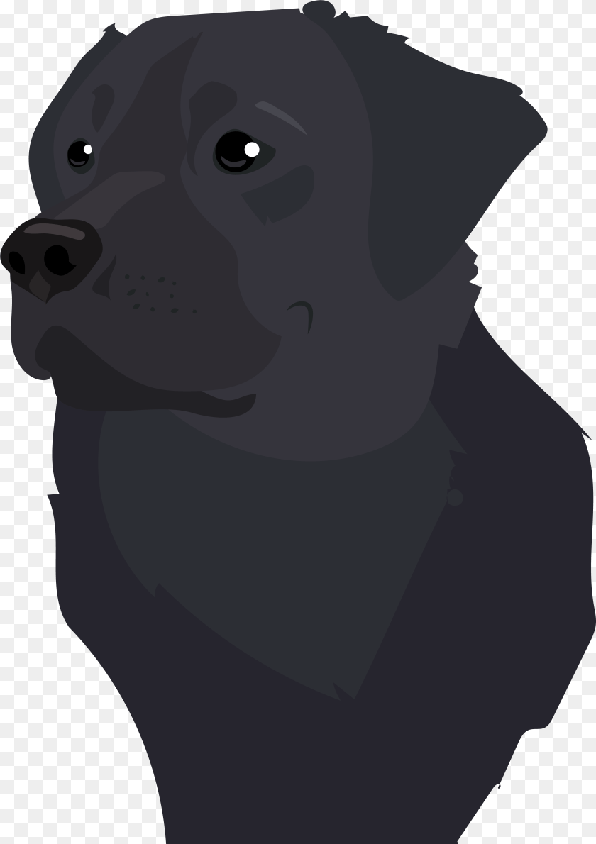 Pug Vector Illustration, Animal, Canine, Dog, Labrador Retriever Transparent PNG