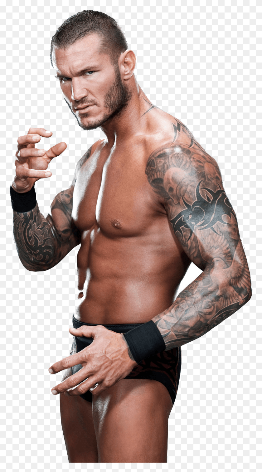 789x1467 Transparent Randy Orton Rko Randy Orton, Skin, Tattoo, Person HD PNG Download