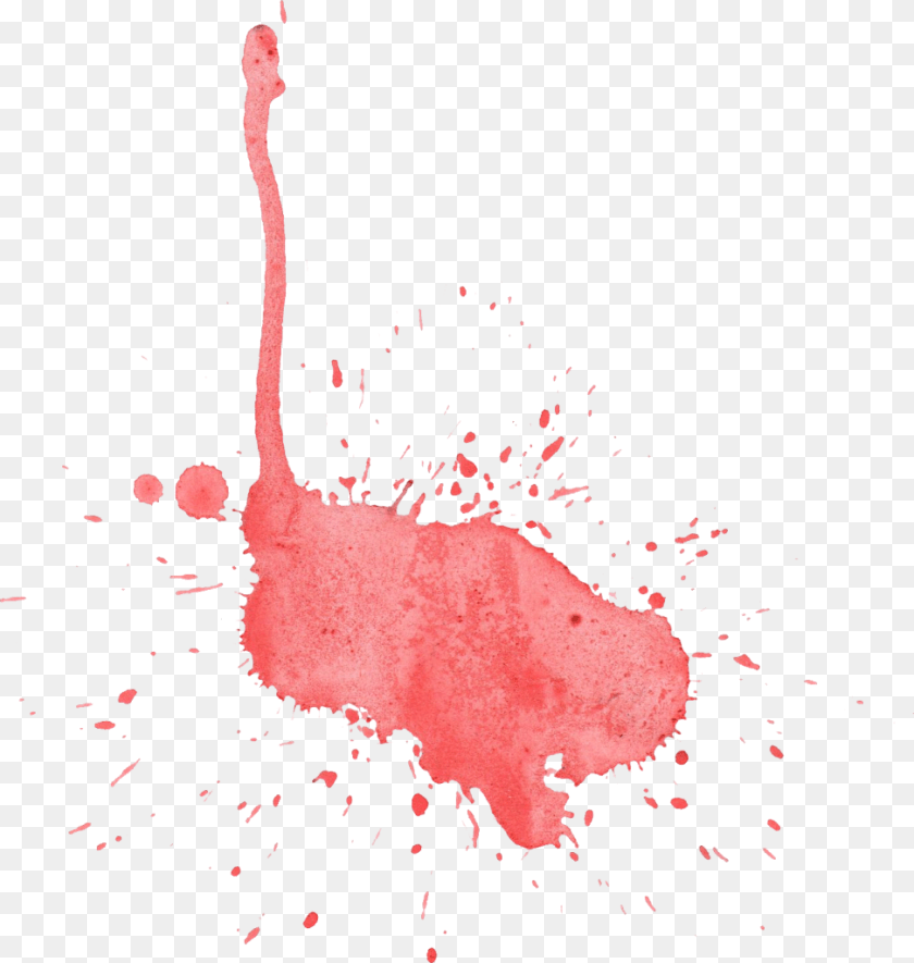 972x1024 Red Watercolor Splash, Animal, Bird, Person Transparent PNG