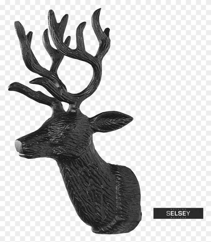 799x926 Transparent Reindeer Head Elk, Antler, Antelope, Wildlife HD PNG Download