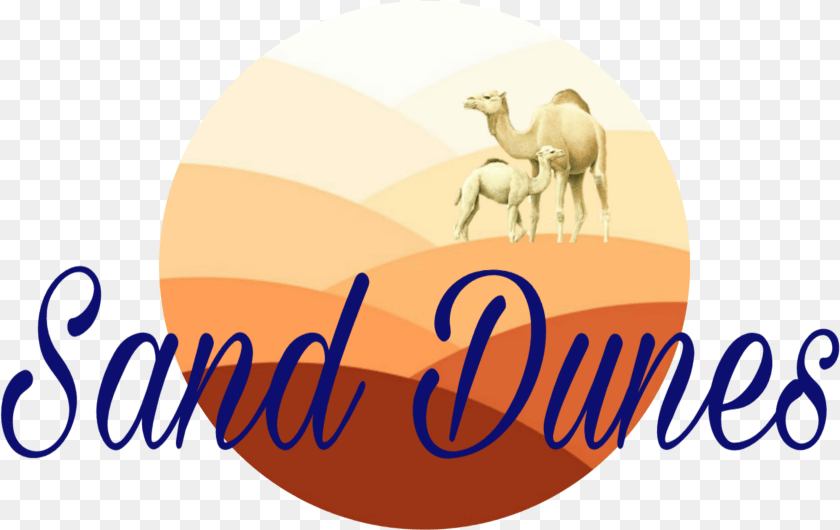 2839x1790 Transparent Sand Dunes, Animal, Camel, Mammal PNG