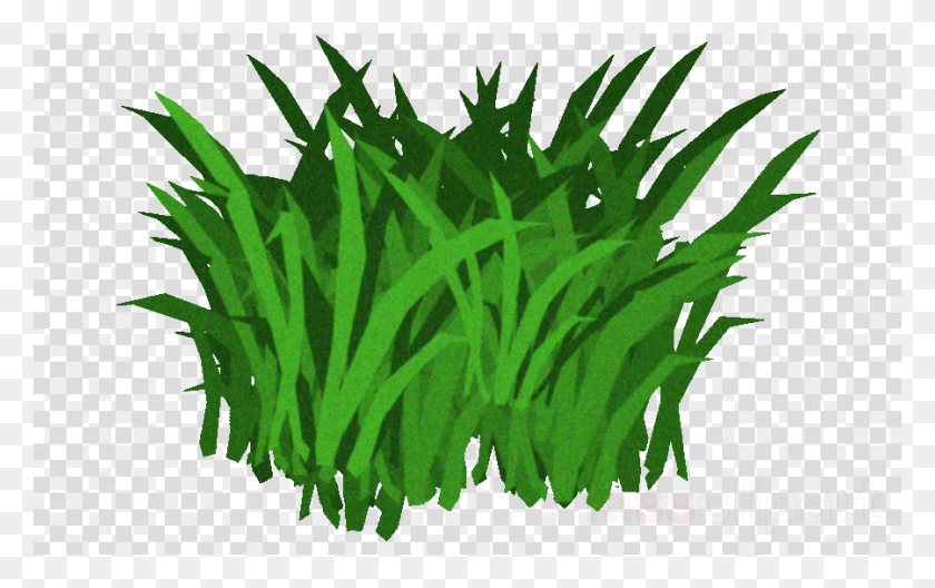 900x540 Transparent Seaweed Clipart Seaweed Kelp Clip Art J Hope Funny Face, Plant, Grass, Vegetation HD PNG Download