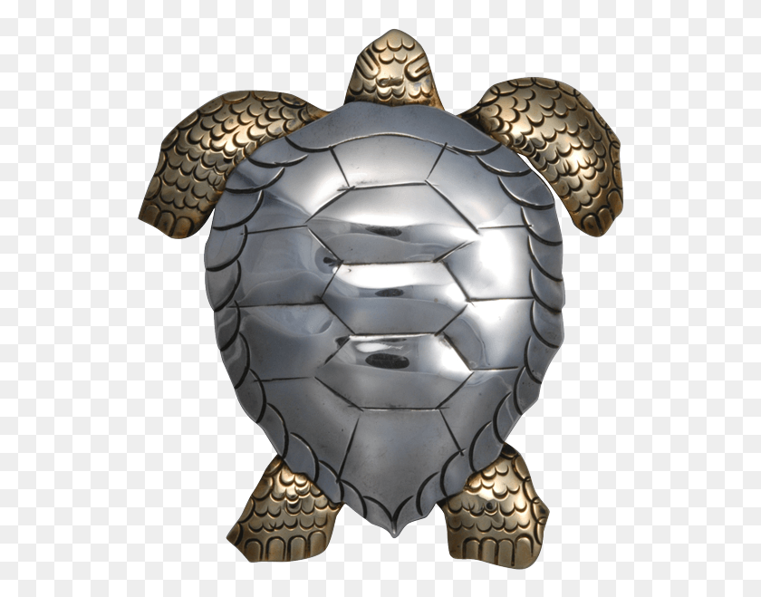 539x599 Transparent Silver Tortoise, Soccer Ball, Ball, Soccer HD PNG Download