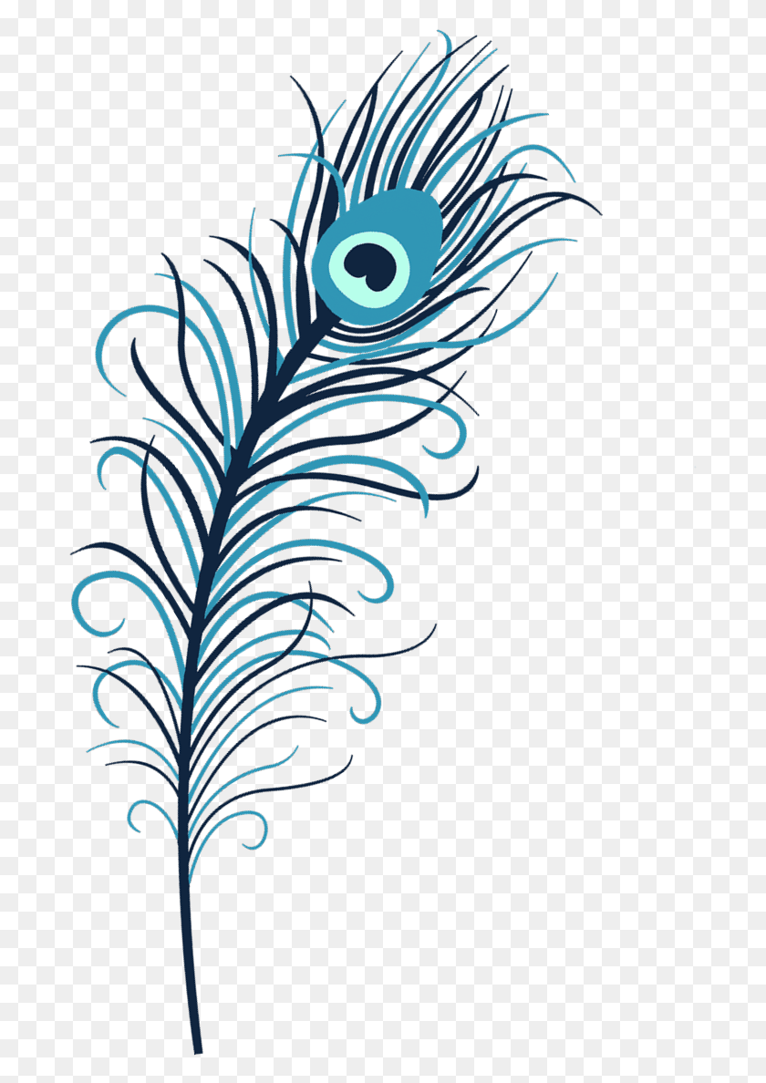 689x1128 Transparent Single Peacock Feathers Indian Peacock Feather Transparent, Graphics, Tree HD PNG Download