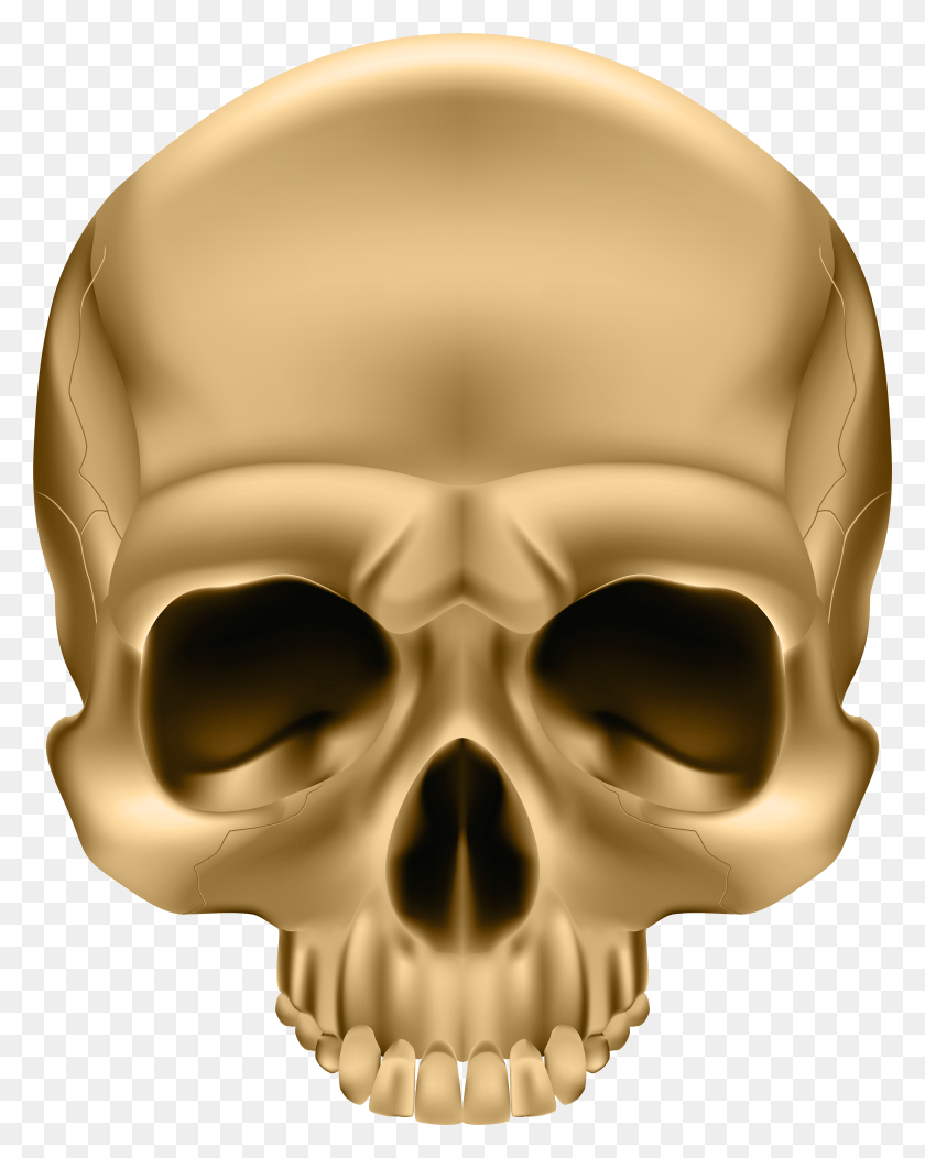 6190x7877 Transparent Skull HD PNG Download