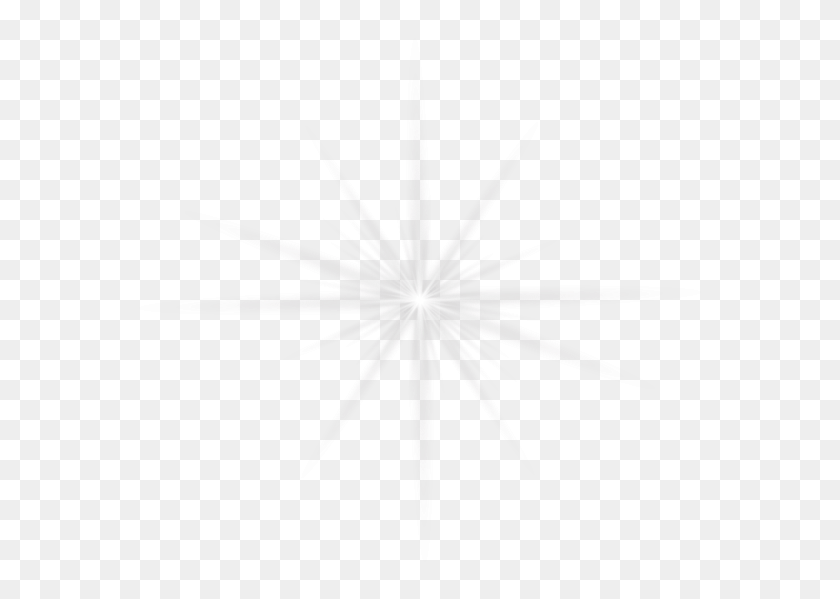 577x539 Transparent Star Effect, Insect, Invertebrate, Animal HD PNG Download