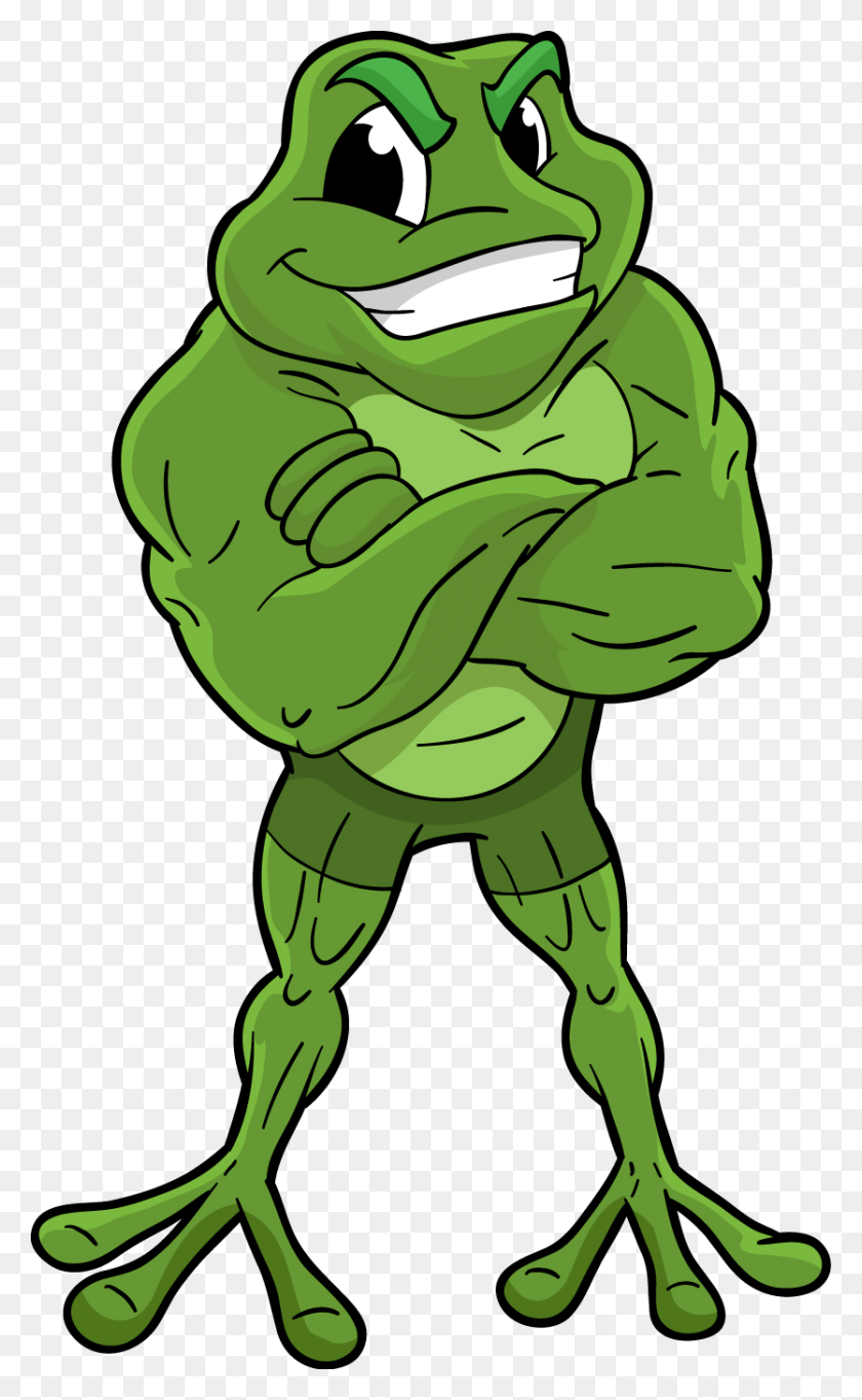 835x1395 Transparent Stock At Getdrawings Com Free For Personal Cartoon Frog, Statue, Sculpture HD PNG Download