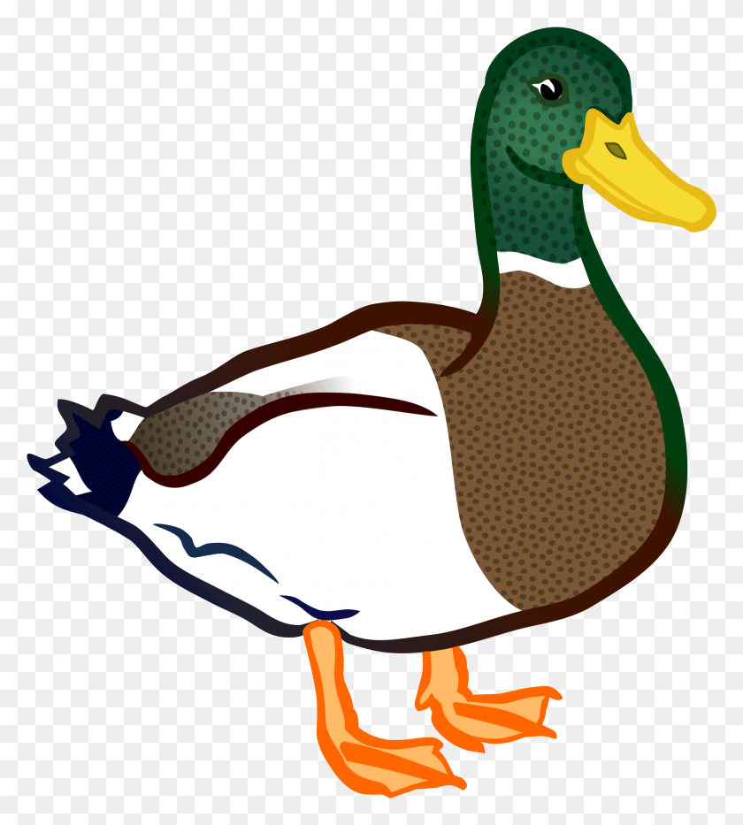 1947x2181 Transparent Stock Duck Coloured Big Image Colored Duck Clip Art, Waterfowl, Bird, Animal HD PNG Download