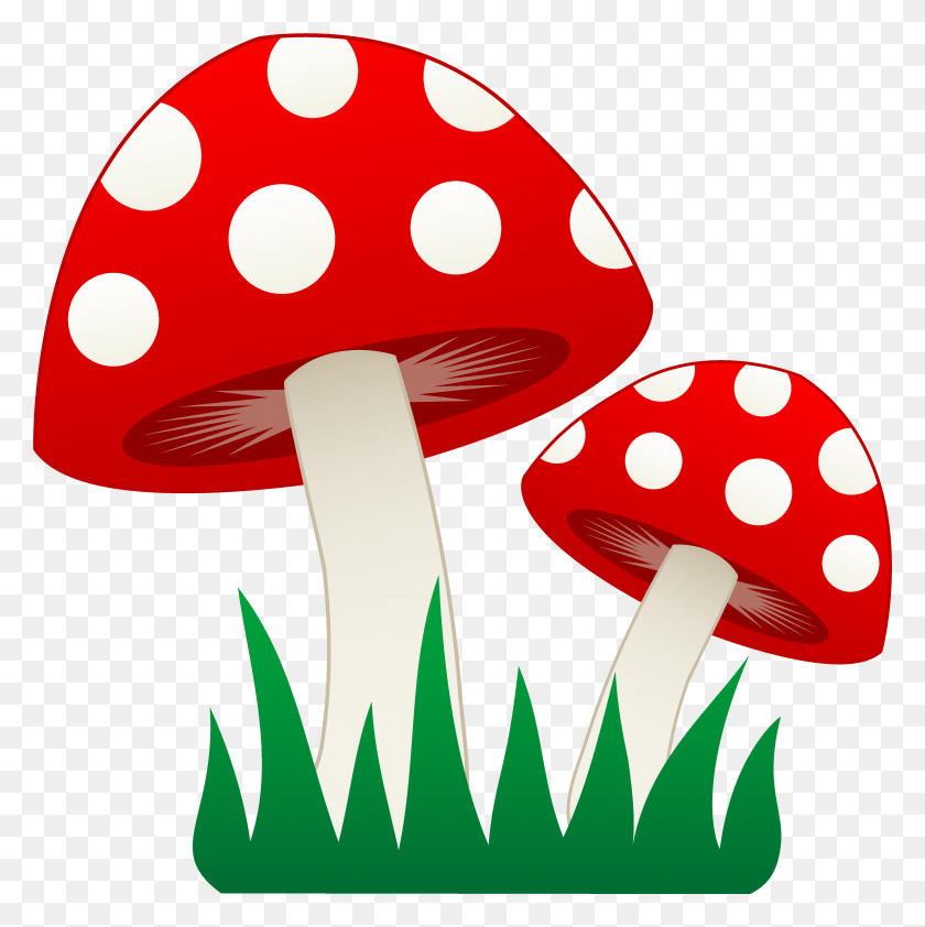 4661x4678 Transparent Stock Mushrooms Image Group Red And White Mushroom Clipart, Plant, Agaric, Fungus HD PNG Download